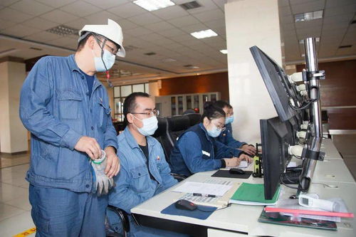 公司新产品海藻酸尿素启动试验性生产，信息技术咨询服务助力企业智能化转型